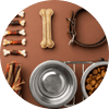 Pets Health & Well-Being